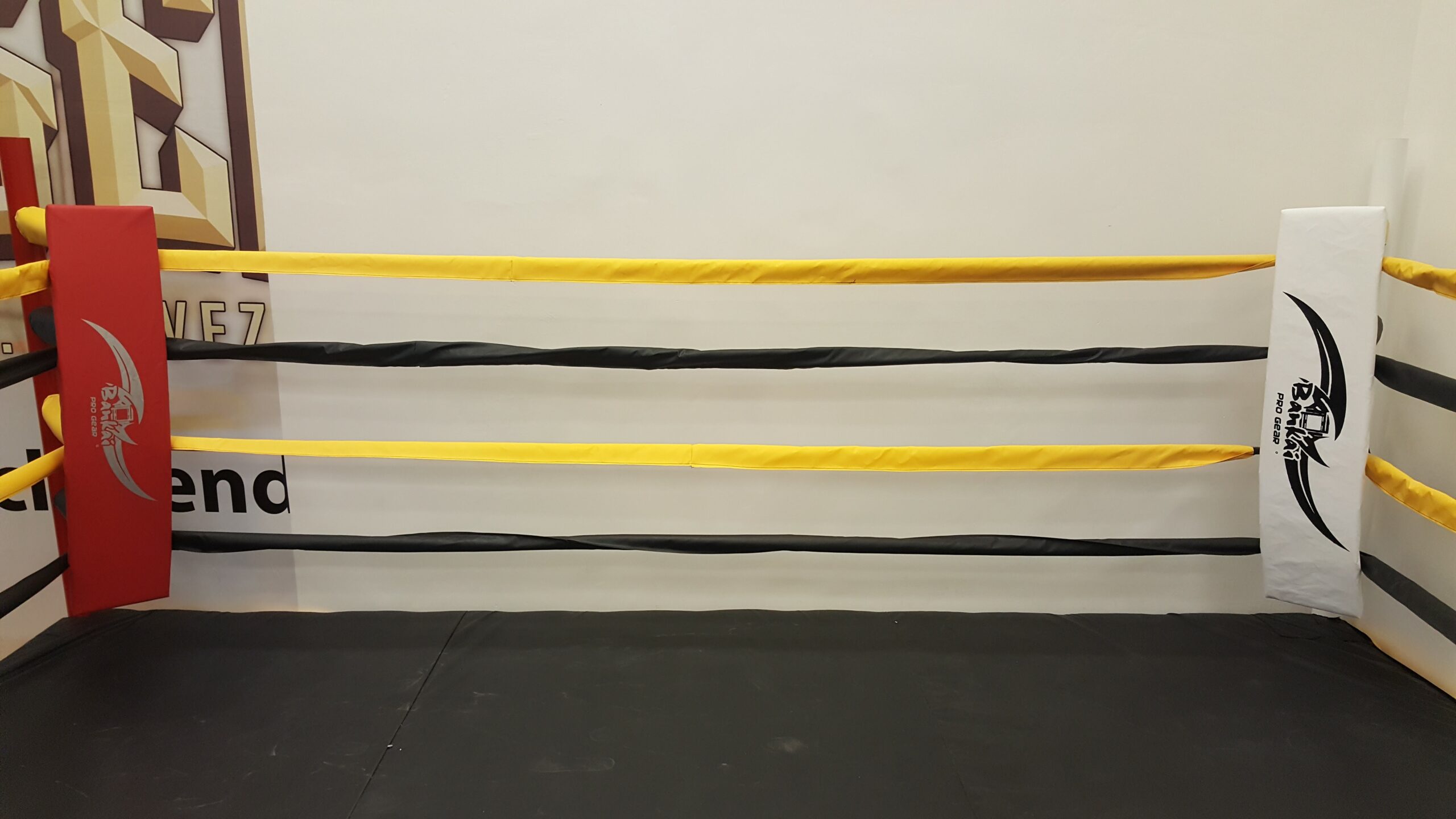 Guide to Make Your Own Boxing Ring | RDX Sports